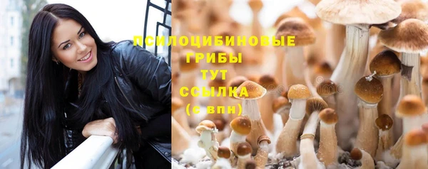 дмт Кулебаки