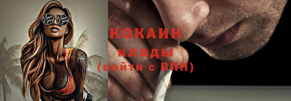 прущие крисы Белокуриха