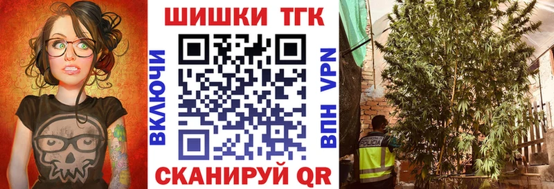купить закладку Нестеров Бошки Шишки планчик